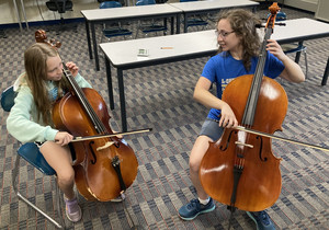 Orchestra  Summer Mentor Lesson