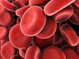 Red Blood Cells get their red color from Hemoglobin