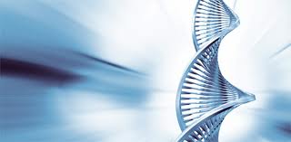 DNA Double Helix Model