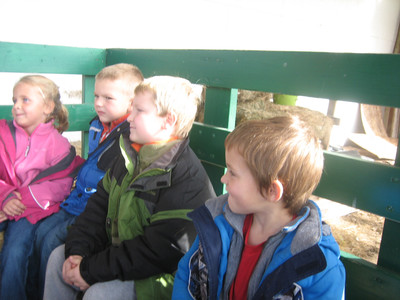 Farm Field Trip - Photo Number 2